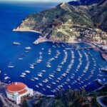 A Perfect Catalina Island Day Trip – the Ultimate Guide